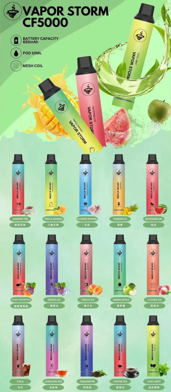 VAPOR STORM 風暴系列5000口拋棄式電子煙 大容量設計 日常攜帶使用 方便即用型一次性電子煙 台灣現貨