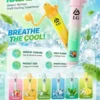 I.G 夏威夷1000口 鼻通 鼻吸薄荷棒 便攜輕巧機身 涼感提神 外出使用推薦 台灣現貨